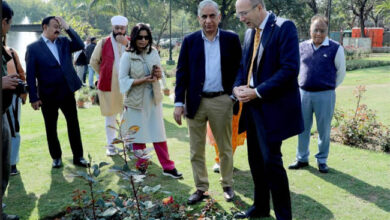 Municipal Council Chairman inaugurates "Rose Festival"