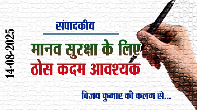 Editorial: Concrete steps are necessary for human security