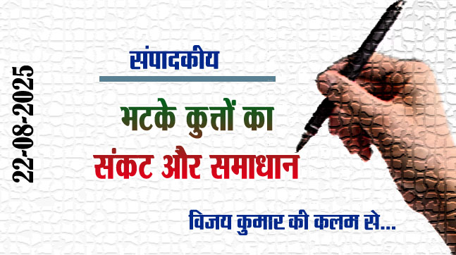 Editorial: The crisis of stray dogs and the solution